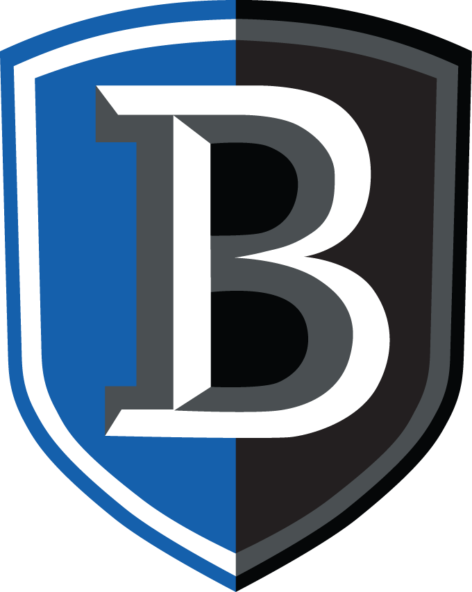 Bentley Falcons 2013-Pres Primary Logo DIY iron on transfer (heat transfer)